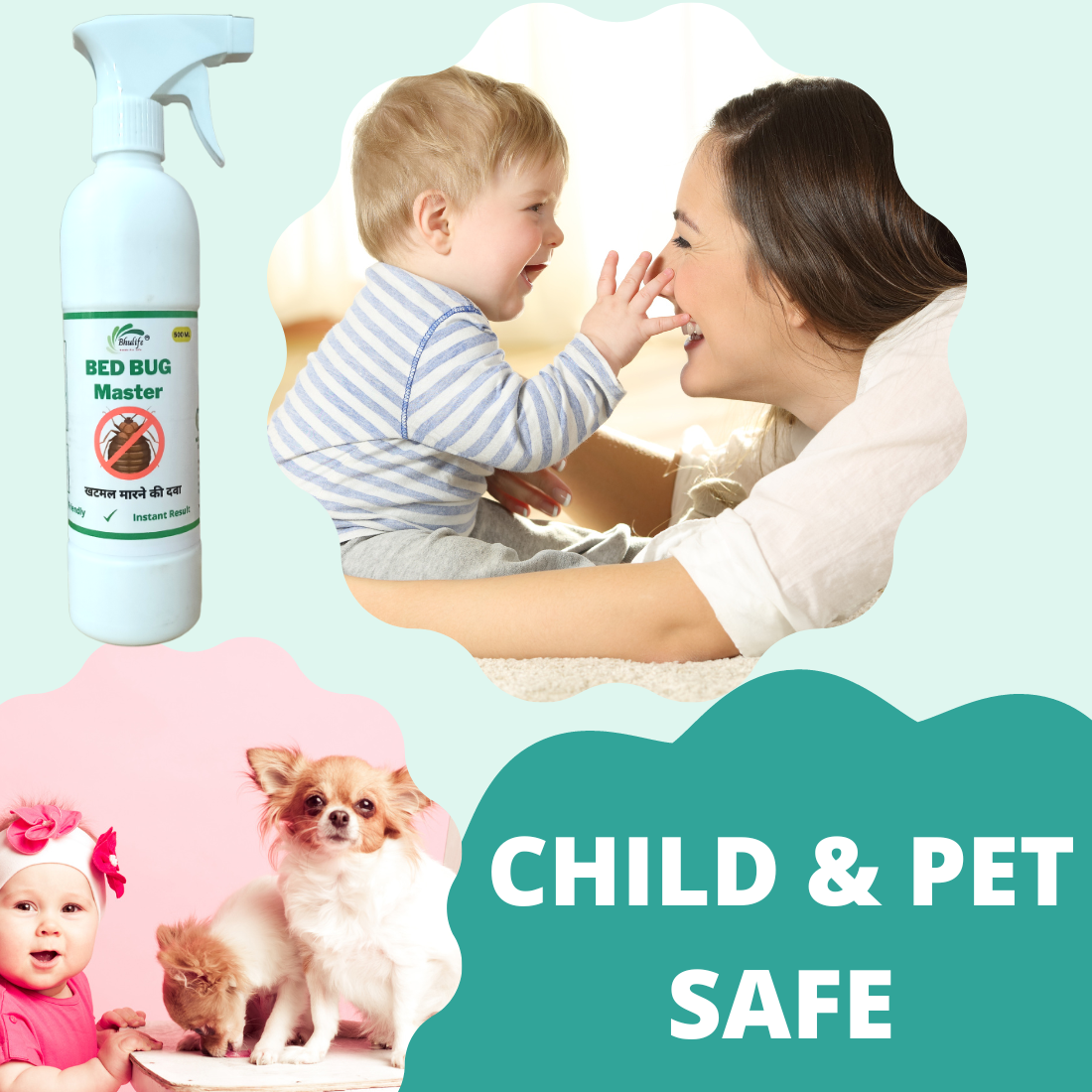 Powerfull Natural Organic Bedbug Killer Spray|Khatmal Marne Ki Dawai|Khatmal Maar
