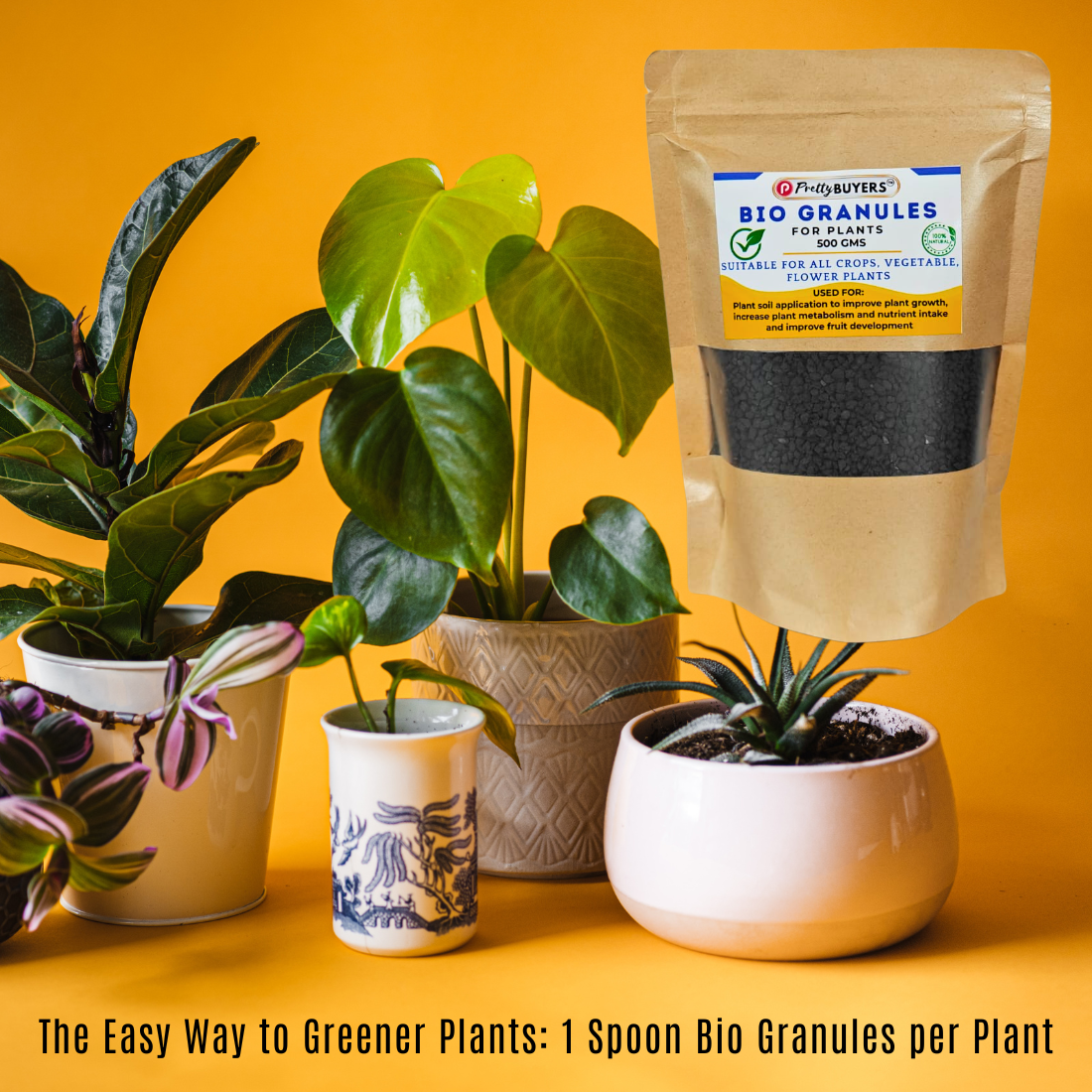 PrettyBUYERS Bio Granules for Plants | Plant food for Root Growth, High Yield, Overall Plant Development 500GM (Pack Of 1)