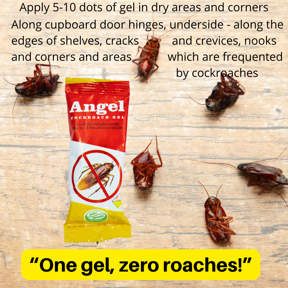 Anti Roach Gel Cockroach Killer | Kitchen Safe, Odourless, Fast and Convenient 10 GM