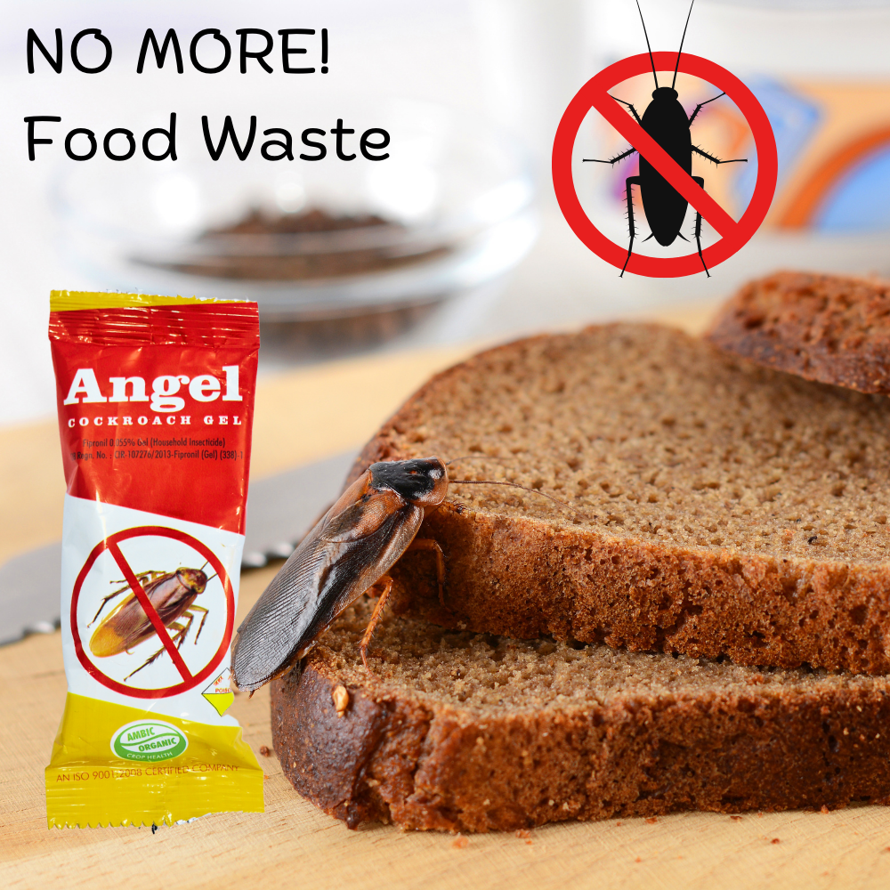 Anti Roach Gel Cockroach Killer | Kitchen Safe, Odourless, Fast and Convenient 10 GM