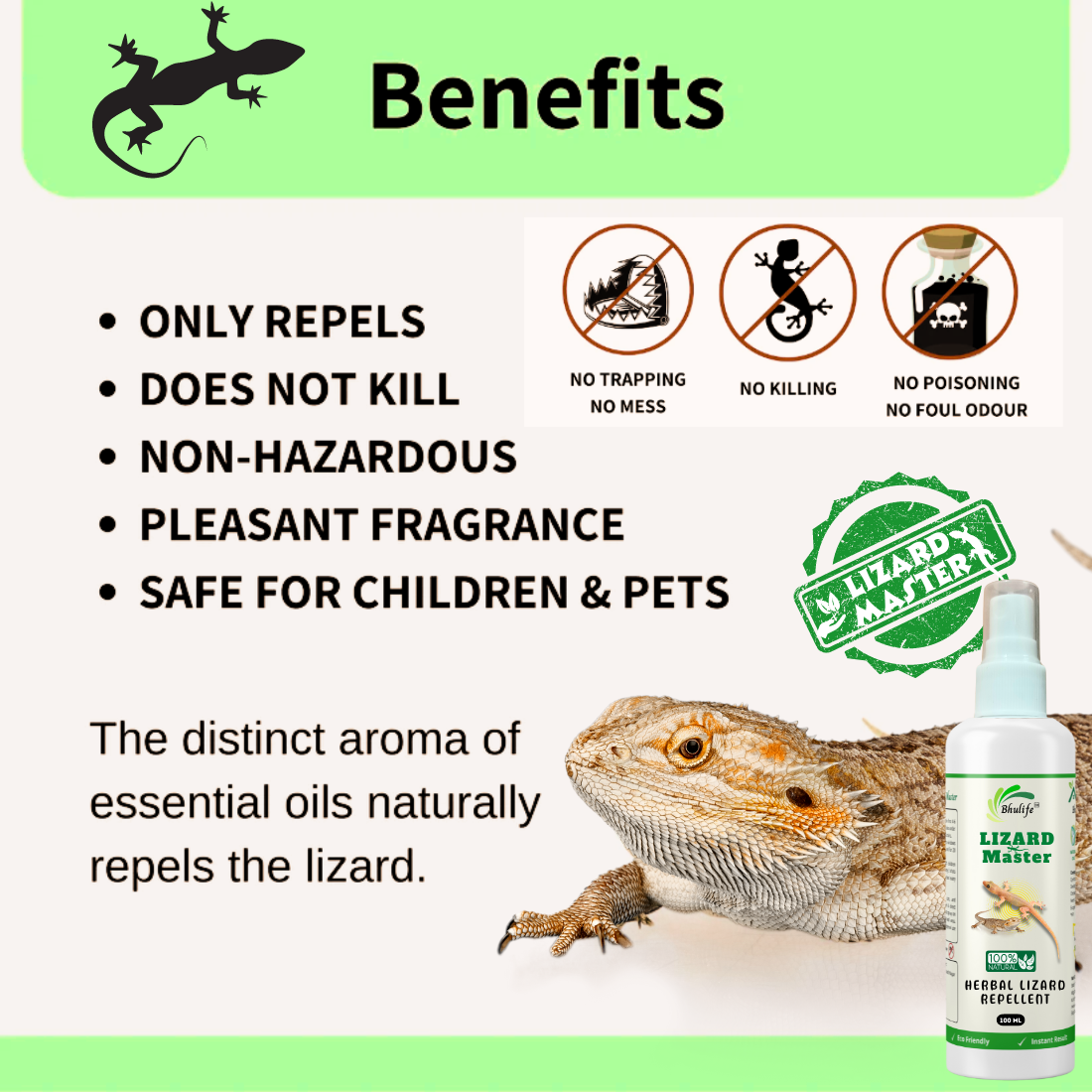 Lizard Repellant Spray | Ready and Easy to Use Formulation | 100% Natural | Non Toxic 100MLx3