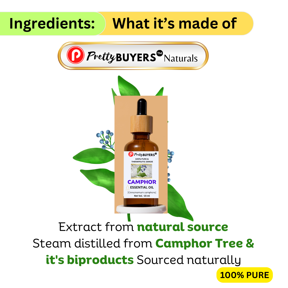 PrettyBUYERS Naturals Camphor Oil for Aromatherapy and Skin Care – Natural, Undiluted and Therapeutic Grade Oil -15MLx1