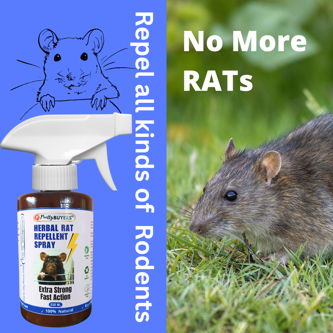 PrettyBUYERS Herbal Rat Killer Spray | Best Rat Repellent Spray For Home & Godowns | 250 ML