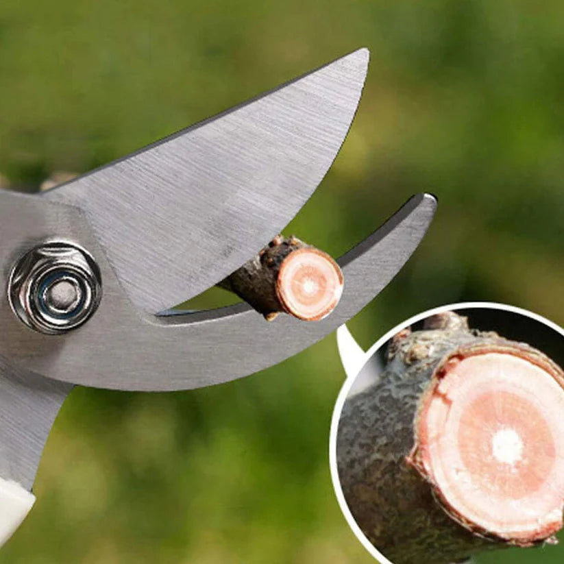 Pretty Buyers Garden Scissors – Soft Grip Stainless Steel Pruner | Grow Garden Tools