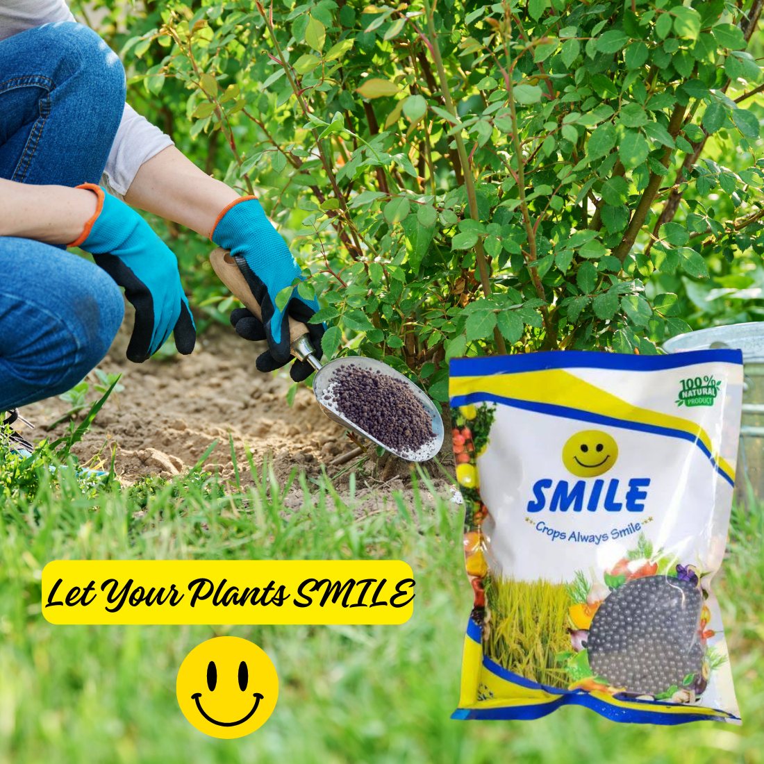 SMILE Granules Bio Fertilizer Mixture of Humic, Amino, Fulvic, Seaweed And Bioenzymes | PGR - Best Food for All Plants | 1 Kg Pack