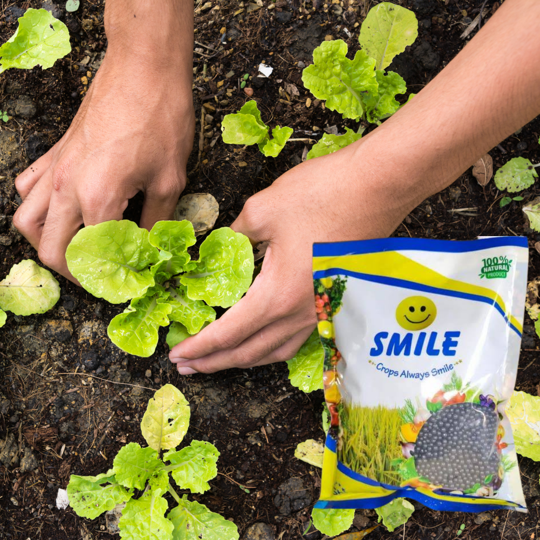 SMILE Granules Bio Fertilizer Mixture of Humic, Amino, Fulvic, Seaweed And Bioenzymes | PGR - Best Food for All Plants | 1 Kg Pack