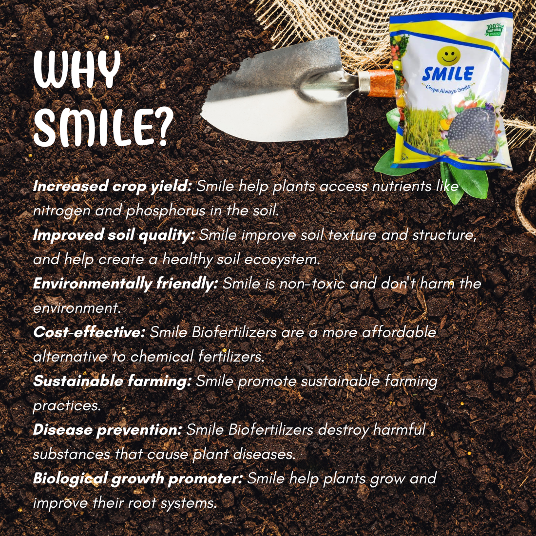 SMILE Granules Bio Fertilizer Mixture of Humic, Amino, Fulvic, Seaweed And Bioenzymes | PGR - Best Food for All Plants | 1 Kg Pack