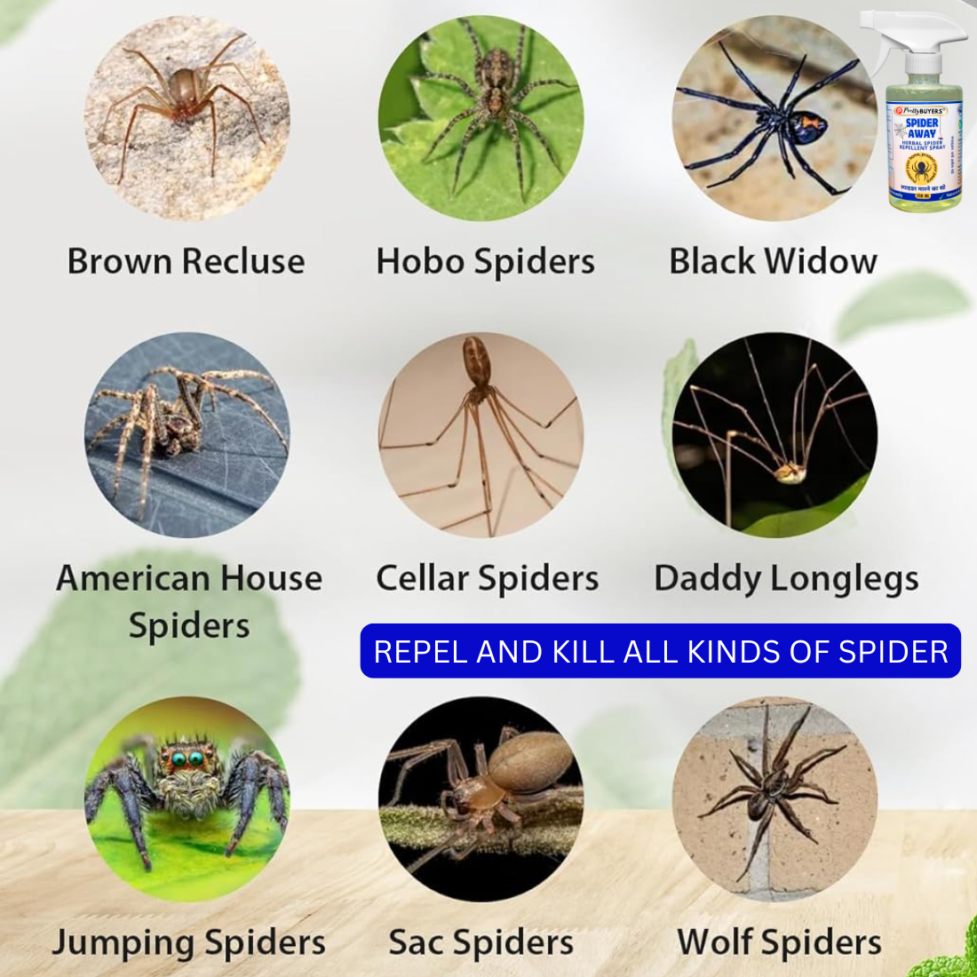 Pretty BUYERS Spider Killer & Repellent Spray 250 ml
