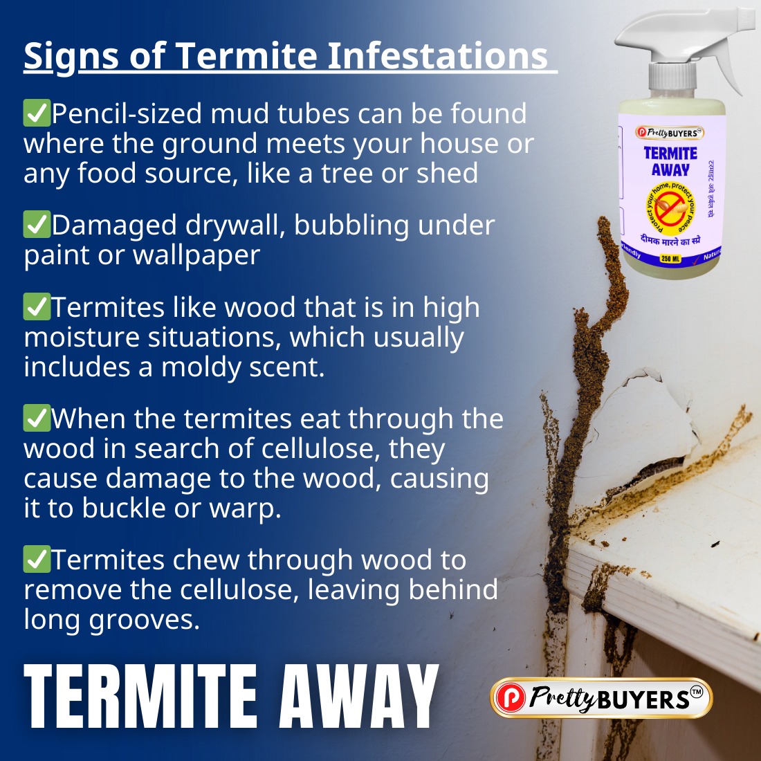 PrettyBUYERS Naturals Termite Killer Spray | 100% Organic Wood Protection | 250MLx2