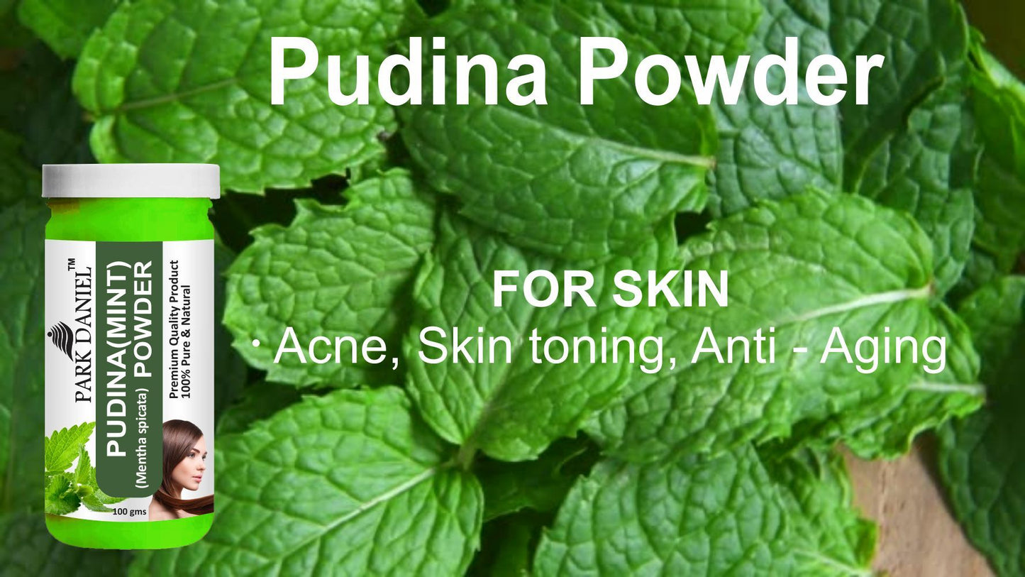 Park Daniel Ginger Powder & Pudina(Mint)Powder Combo pack of 2 Jars of 100 gms(200 gms)