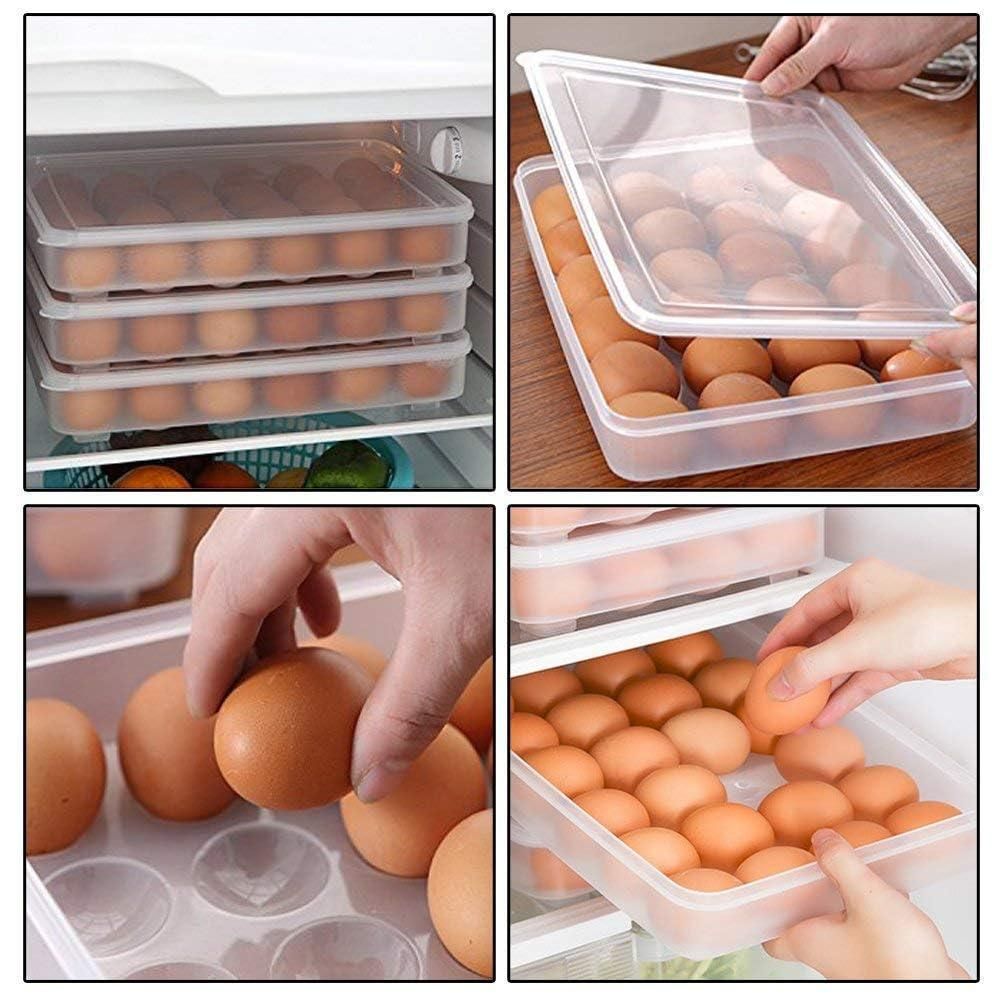 Transparent 24 Grid Egg Storage Airtight Container Tray (Pack of 1)