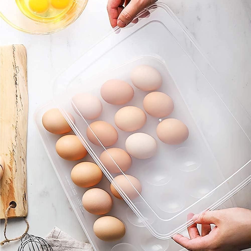 Transparent 24 Grid Egg Storage Airtight Container Tray (Pack of 1)