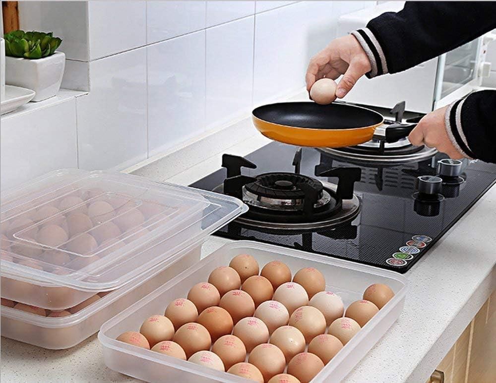 Transparent 24 Grid Egg Storage Airtight Container Tray (Pack of 1)