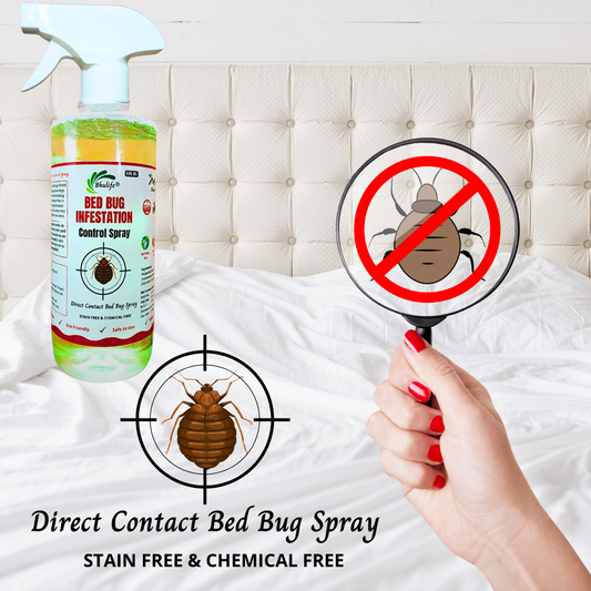 Bhulife Bug Infestation Control Spray | Khatmal Marne Ki Dawa | Bedbug Killer Spray | 500ML