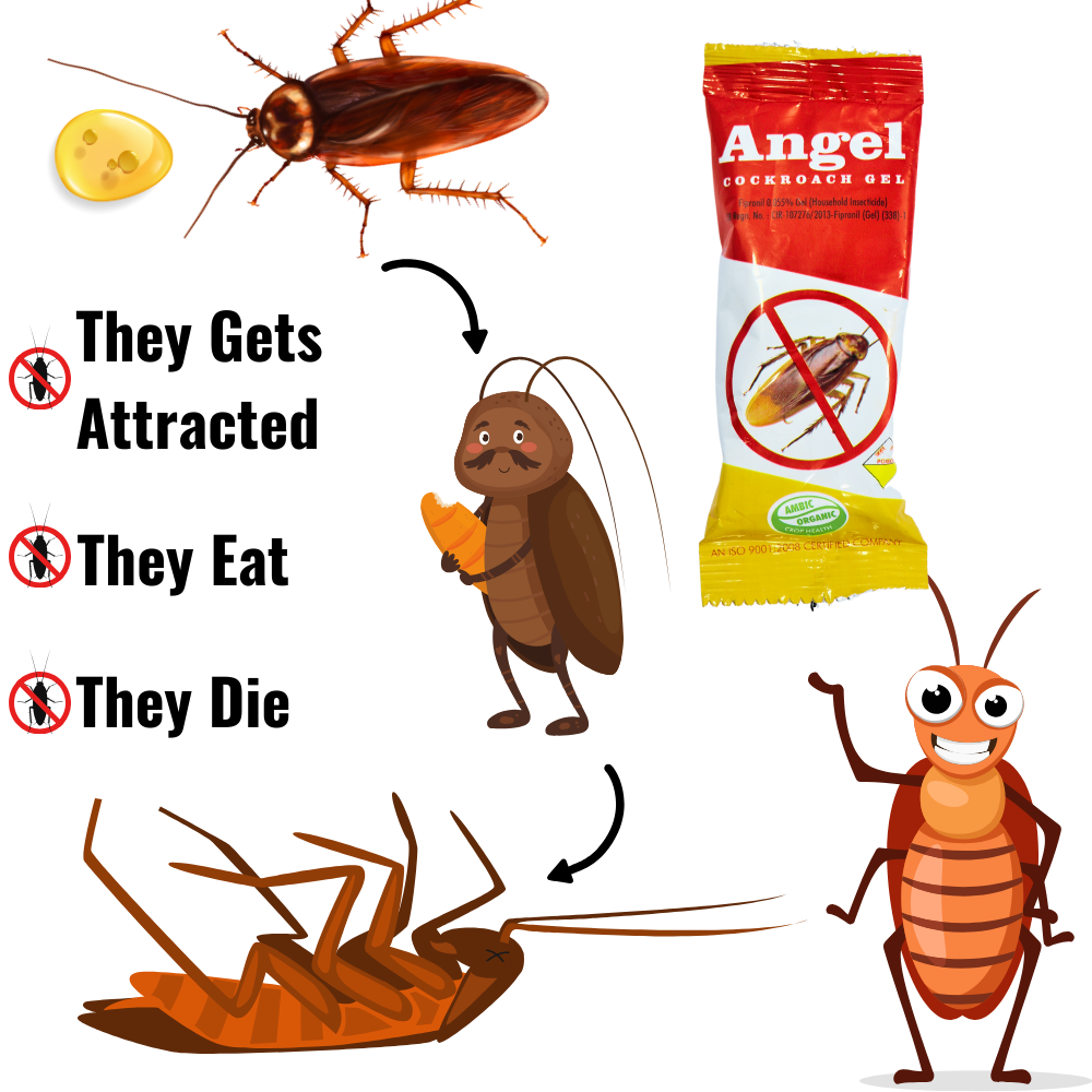 Anti Roach Gel Cockroach Killer | Kitchen Safe, Odourless, Fast and Convenient 10 GM