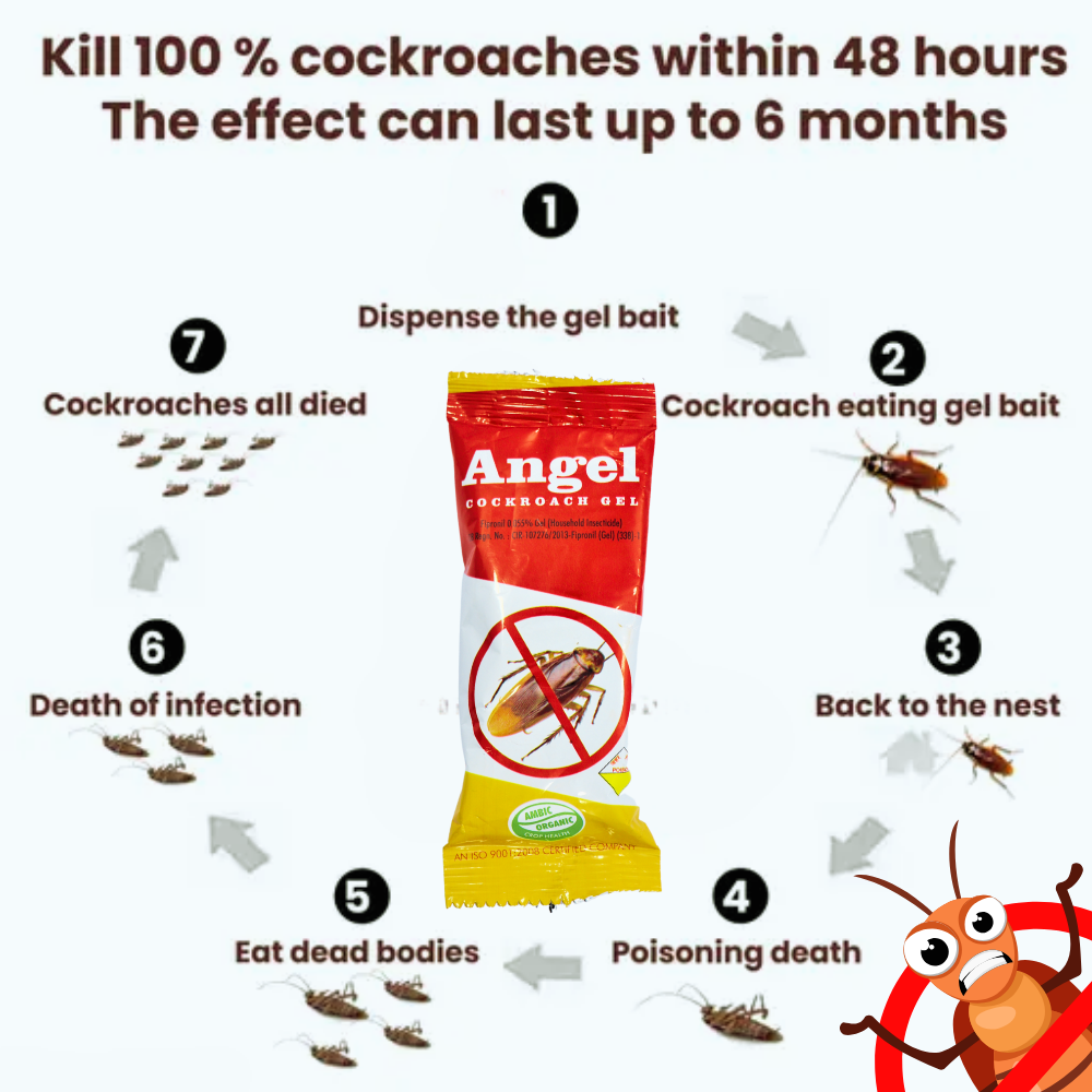 Anti Roach Gel Cockroach Killer | Kitchen Safe, Odourless, Fast and Convenient 10 GM