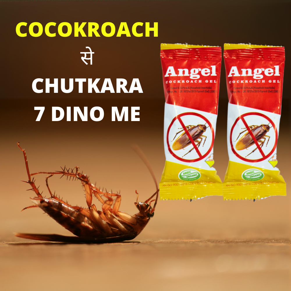 Anti Roach Gel Cockroach Killer | Kitchen Safe, Odourless, Fast and Convenient 10 GM