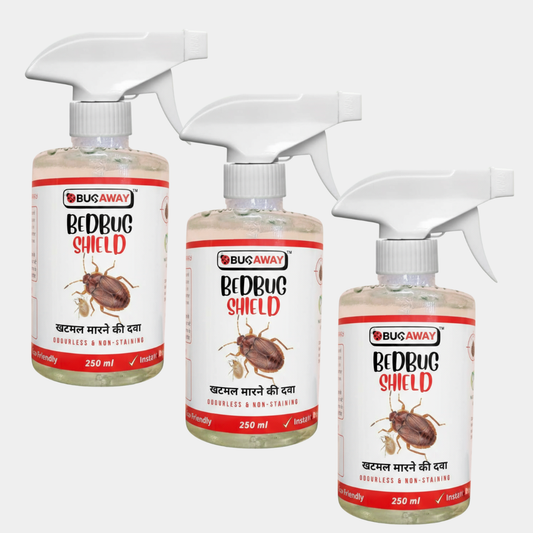 Organic Bedbug Control Spray | Bed Bug Shield | Khatmal Maar 250MLx3