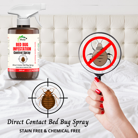 Bhulife Bed Bug Infestation Control Spray | Bed Bug Killer  250 MLx1