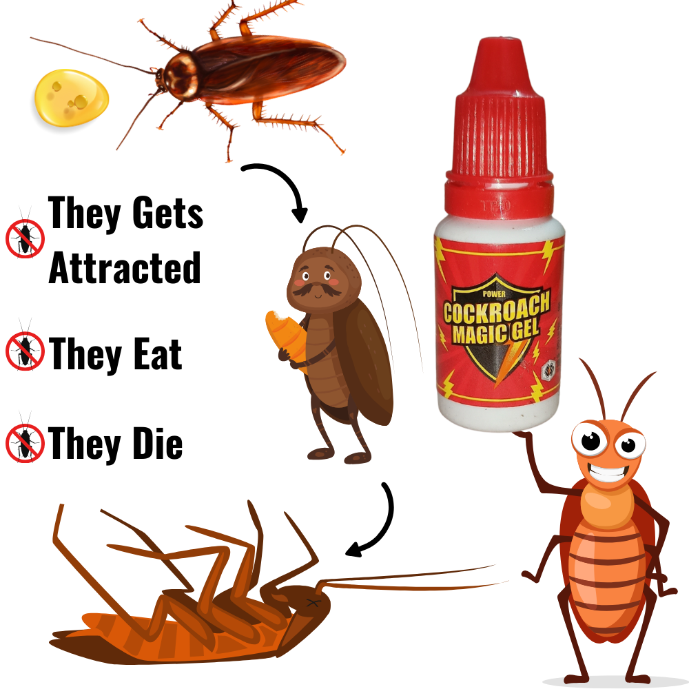 Best Cockroach Killer Magic Gel | Anti Roach Gel For Home, Kitchen & Office 15 GM (Pack Of 12)