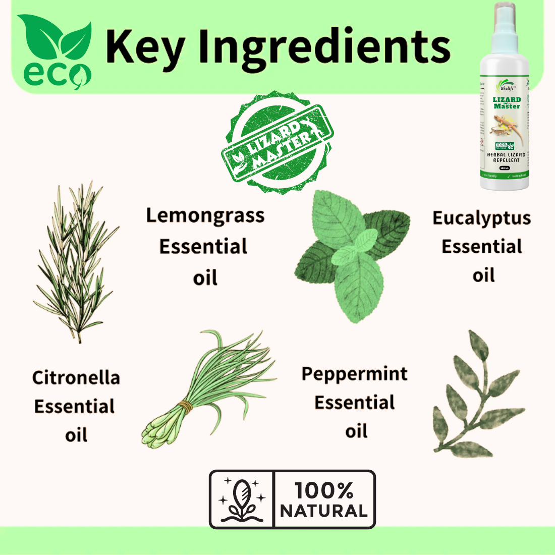 Lizard Repellant Spray | Ready and Easy to Use Formulation | 100% Natural | Non Toxic 100MLx1