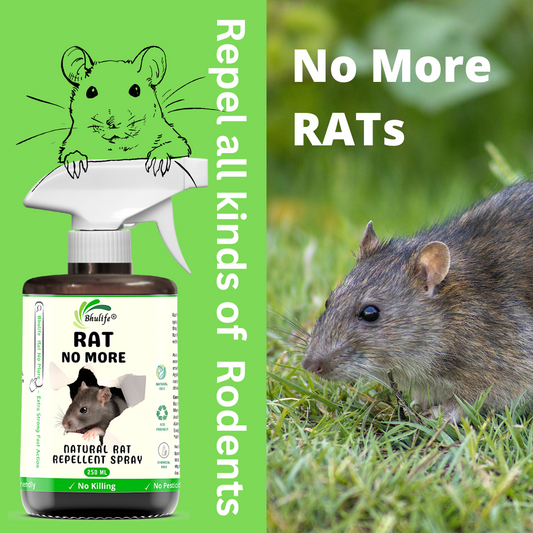 Bhulife Herbal Rat Repellent Spray For Home, Godowns & Cars | Ready To Use Rat Spray 250ML (Pack Of 1)