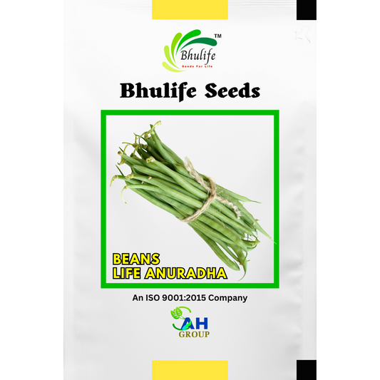 bhulife-beans-seeds-anuradha