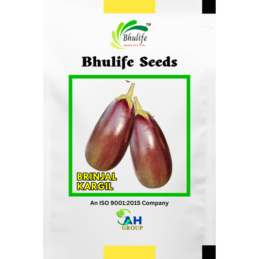 bhulife-brinjal-seeds-kargil