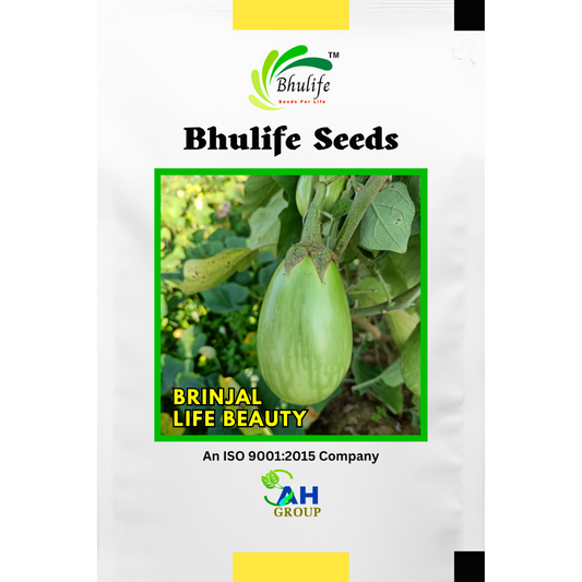 bhulife-brinjal-seeds-beauty
