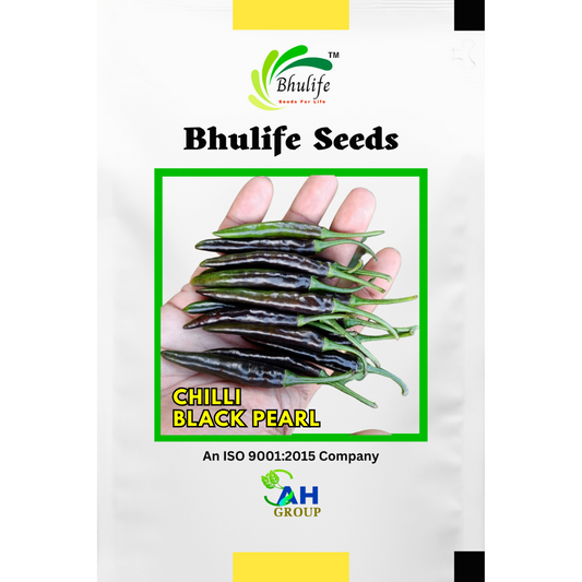 bhulife-chilly-seeds-life-black-pearl