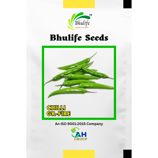 bhulife-chilly-seeds-life-gr-fire