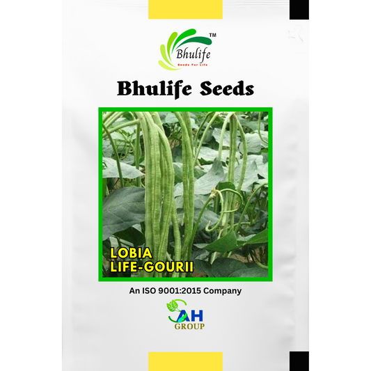 bhulife-cowpea-seeds-gouri