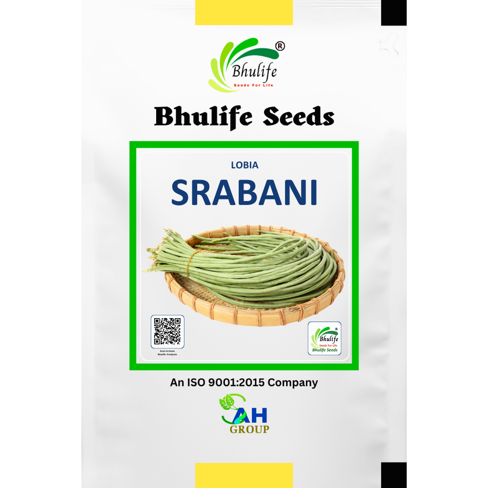 bhulife-cowpea-seeds-srabani