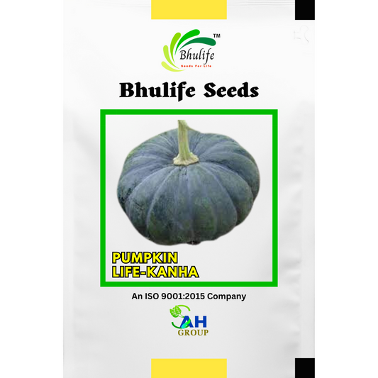 bhulife-pumpkin-seeds-kanha
