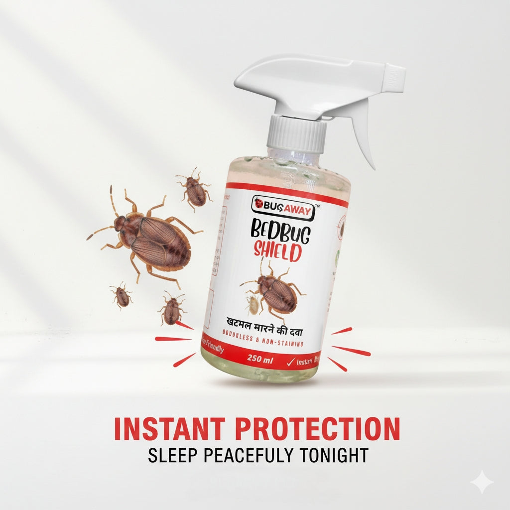 Organic Bedbug Control Spray | Bed Bug Shield | Khatmal Maar 250MLx3