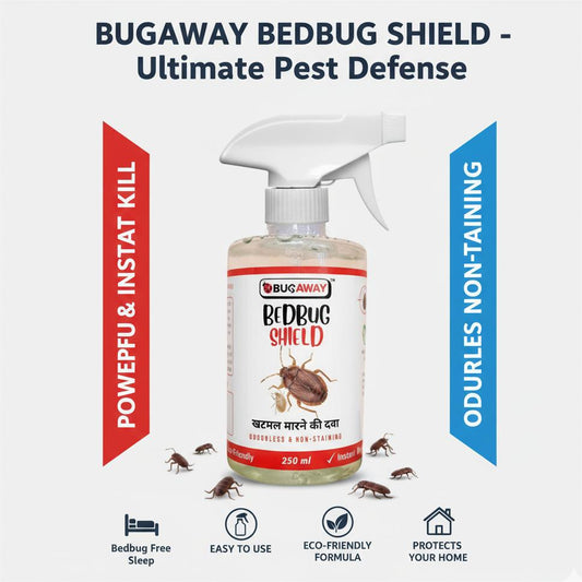 Bug Away Bedbug Killer Spray | Shield your Home from Bugs 250ml