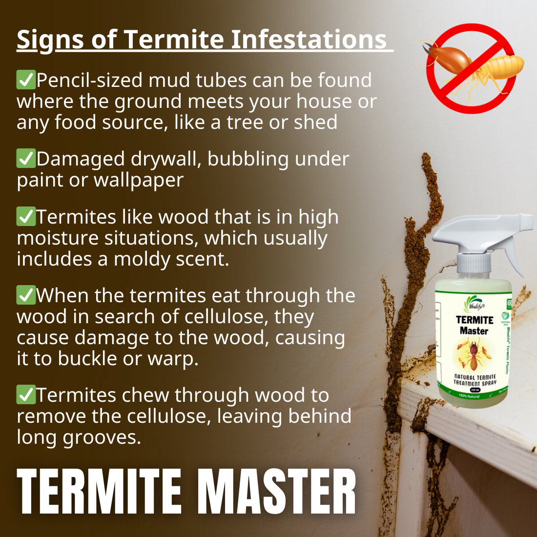 Bhulife Natural Termite Killer Spray | Demak Marne ki Dawa 250MLx1