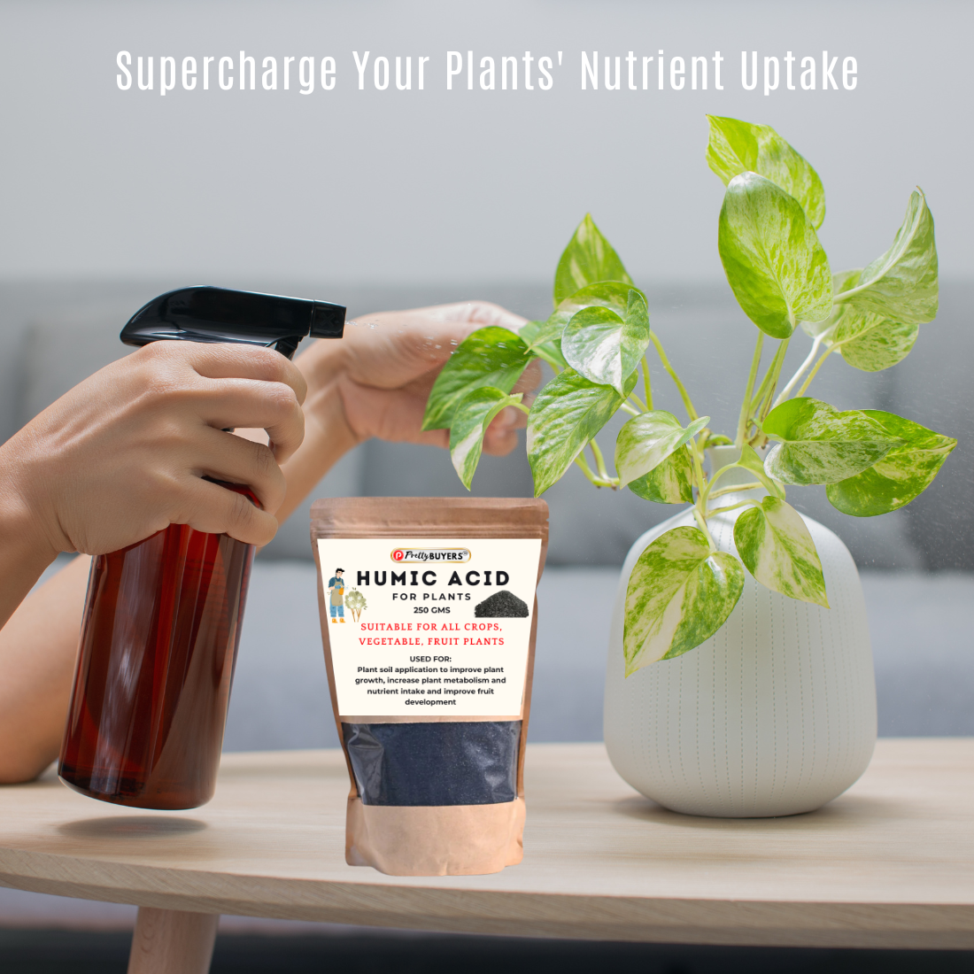 PrettyBUYERS Organic Humic Acid Fertilizer For Plant | Plant Fertilizer For Potted Plants (250 GM)
