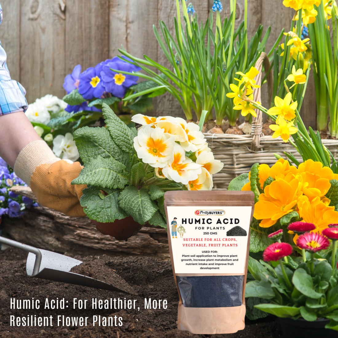 PrettyBUYERS Organic Humic Acid Fertilizer For Plant | Plant Fertilizer For Potted Plants (250 GM)