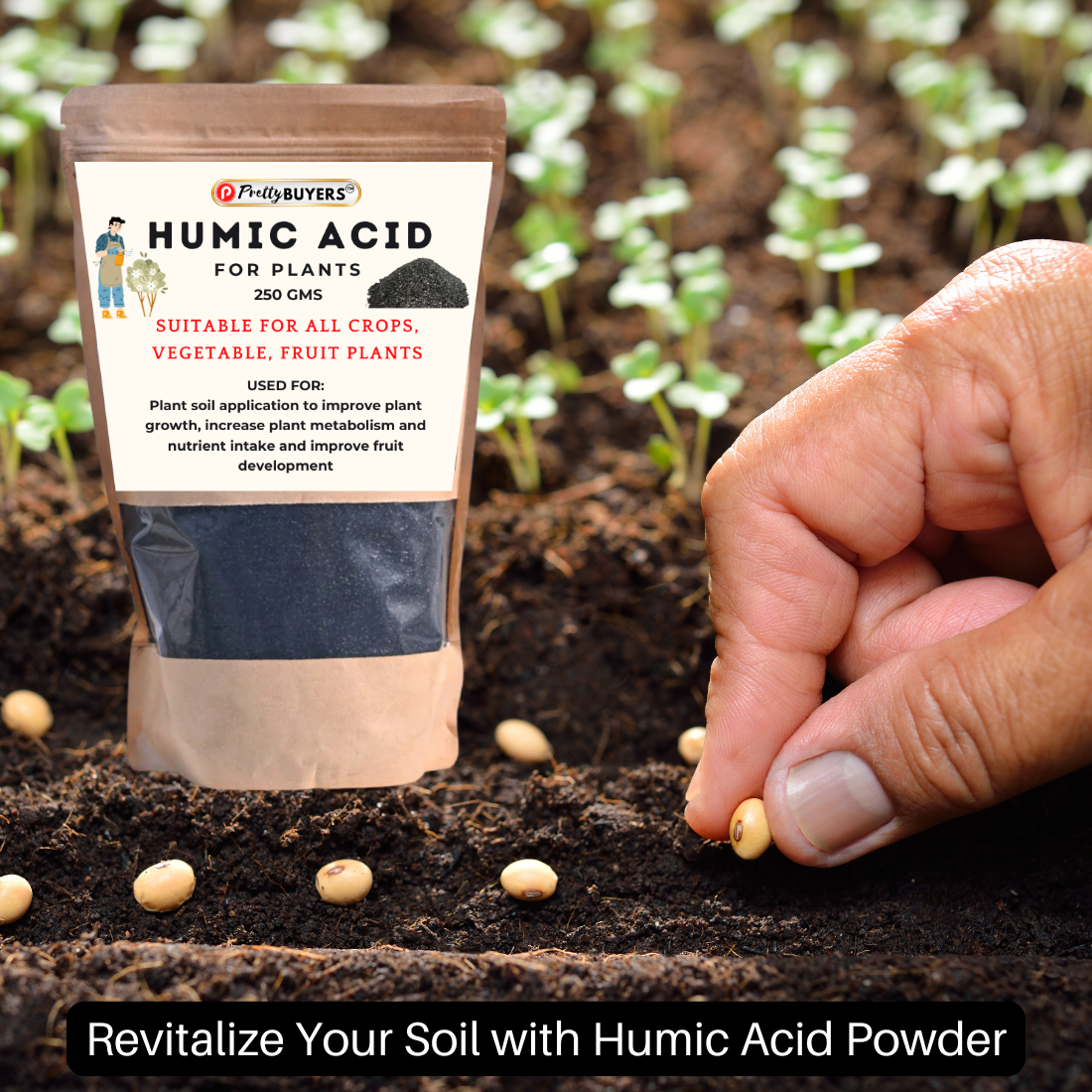 PrettyBUYERS Organic Humic Acid Fertilizer For Plant | Plant Fertilizer For Potted Plants (250 GM)