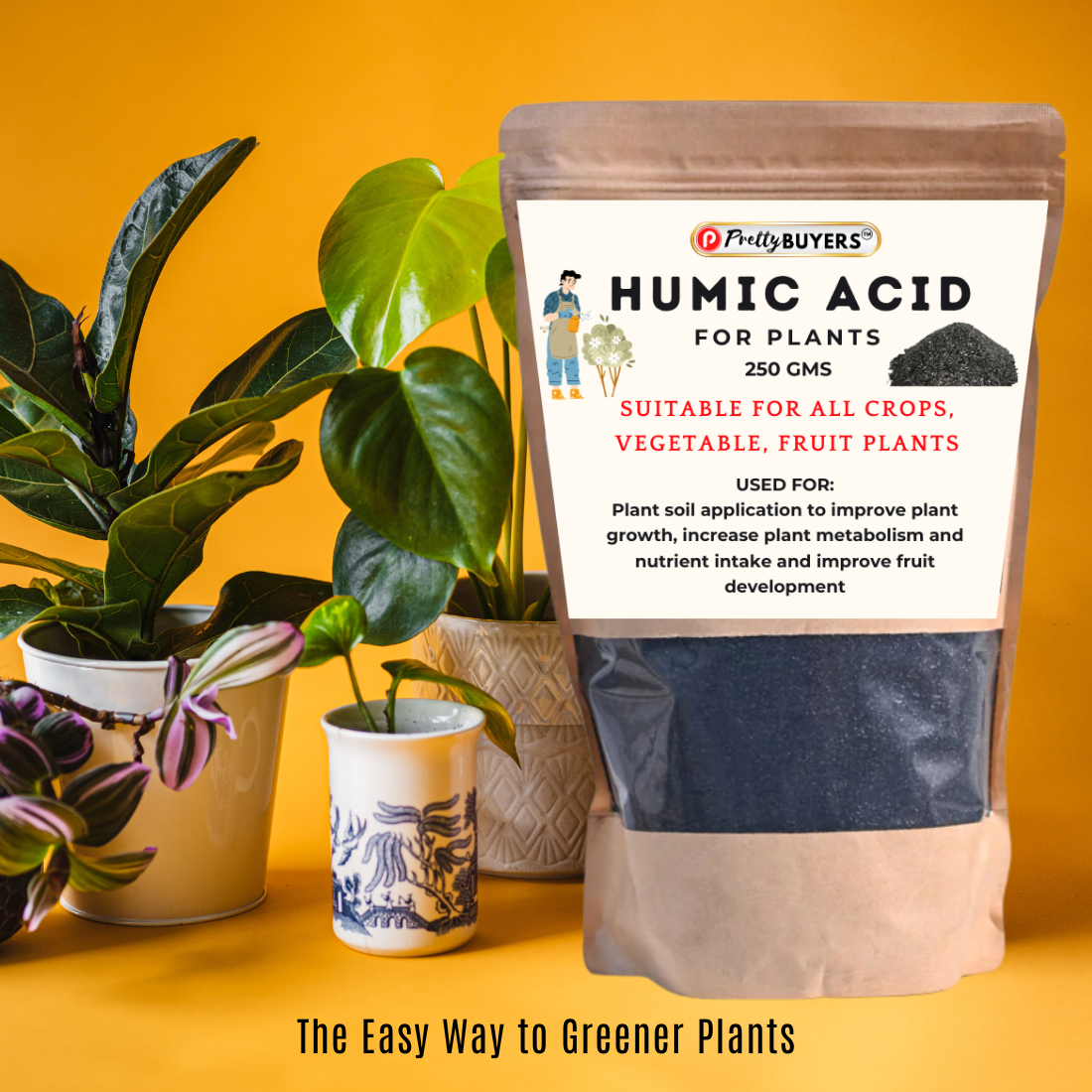 PrettyBUYERS Organic Humic Acid Fertilizer For Plant | Plant Fertilizer For Potted Plants (250 GM)