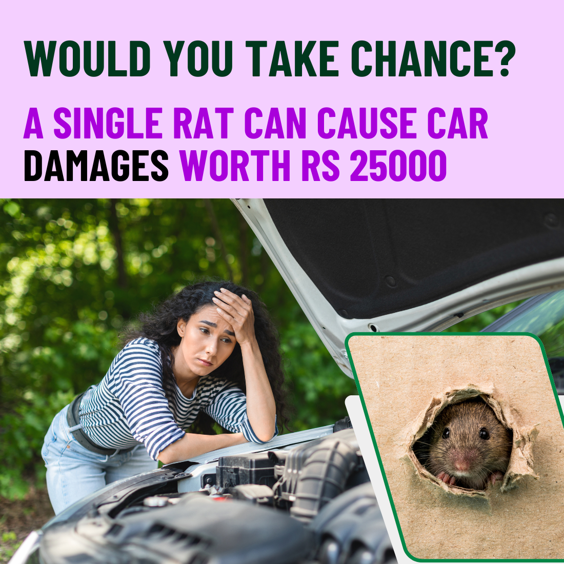 PrettyBUYERS Rat Away Rat Repellent Spray for Car & Home 250ML