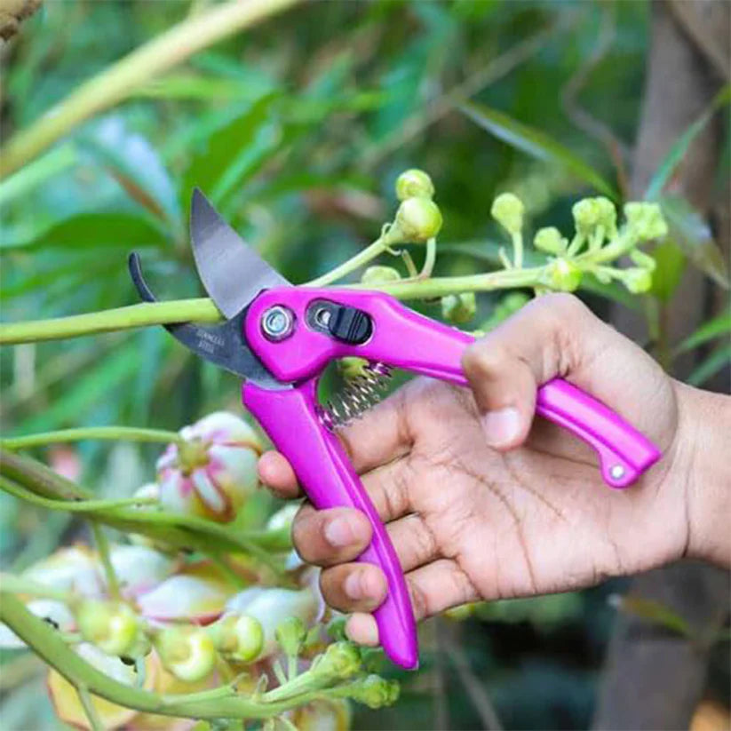 Pretty Buyers Garden Scissors – Soft Grip Stainless Steel Pruner | Grow Garden Tools