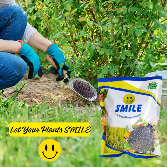 SMILE Granules Bio Fertilizer Mixture of Humic, Amino, Fulvic, Seaweed And Bioenzymes | PGR - Best Food for All Plants | 1 Kg Pack
