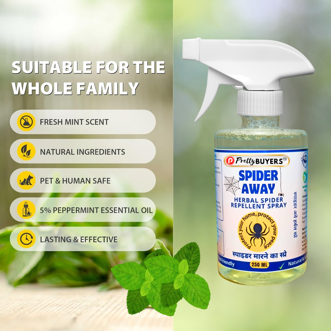 Pretty BUYERS Spider Killer & Repellent Spray 250 ml