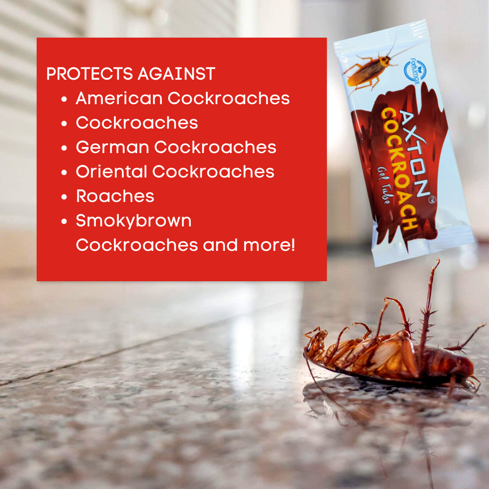 Best Cockroach Killer Gel for Home Office Kitchen 10GMx12