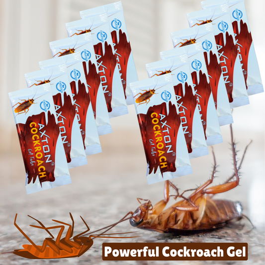 Best Cockroach Killer Gel for Home Office Kitchen 10GMx12