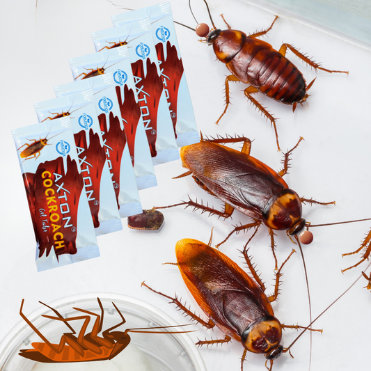 Best Cockroach Killer Gel for Home Office Kitchen 10GMx6