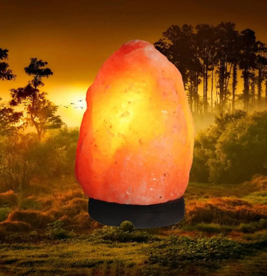 Rudra Crystal Products Real Himalayan Natural Rock Salt Lamp 2-3 Kg Air Purifier Ionizer Pink Crystal Light , Salt Lamp. Lamps For Table