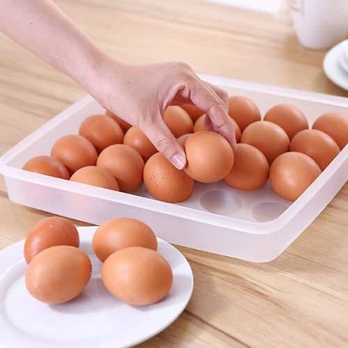 Transparent 24 Grid Egg Storage Airtight Container Tray (Pack of 1)